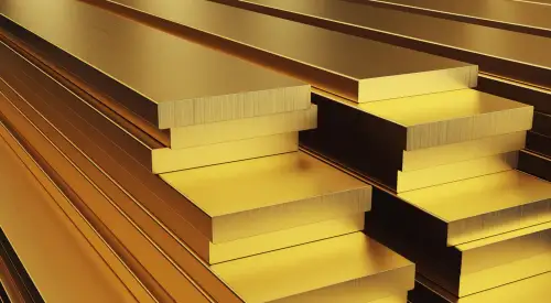 Полоса шина бронзовая